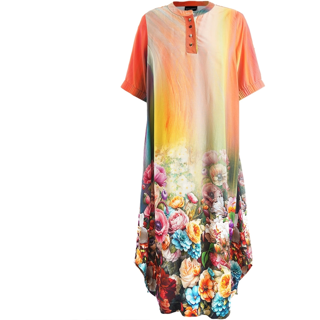 Studio SBidiana Long Dress Long Dress Multi color print